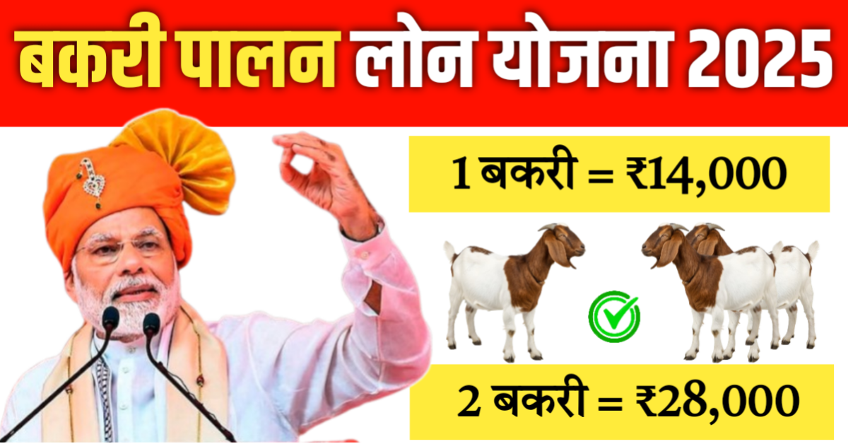 Bakri Palan Business Loan 2025